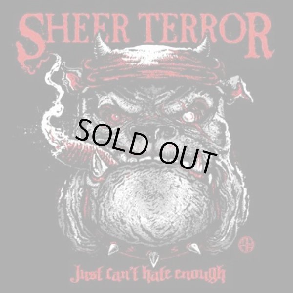 画像1: SHEER TERROR / Just can't hate enough (Lp) Dead city