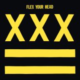 画像:  V.A / Flex your head (Lp) Dischord 