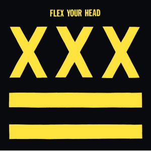 画像:  V.A / Flex your head (Lp) Dischord 