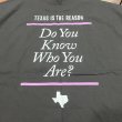 画像2: TEXAS IS THE REASON / Logo -black- (t-shirt) Revelation