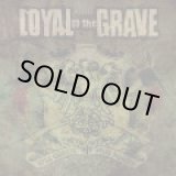 画像: LOYAL TO THE GRAVE / still climbin, still belivein (cd) Imperium