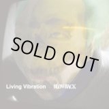 画像: BLOWBACK / Living Vibration (cd) HG FACT