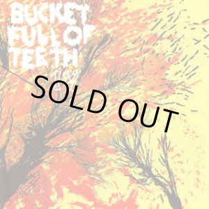 画像: BUCKET FULL OF TEETH / IV (cd) Level plane