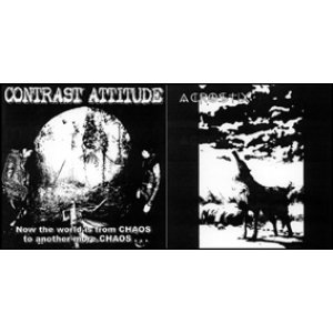 画像: CONTRAST ATTITUDE, ACROSTIX / split (Lp) Crust War