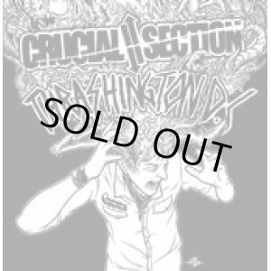 画像: CRUCIAL SECTION, THRASHINGTON DC / split (7ep) Crew for life