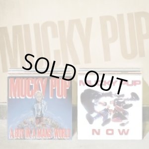 画像: MUCKY PUP / A Boy In A Mans World + Now (cd) I SCREAM