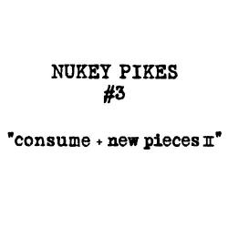 画像1: NUKEY PIKES / consume＋new piecesII (cd+dvd) Youth inc.